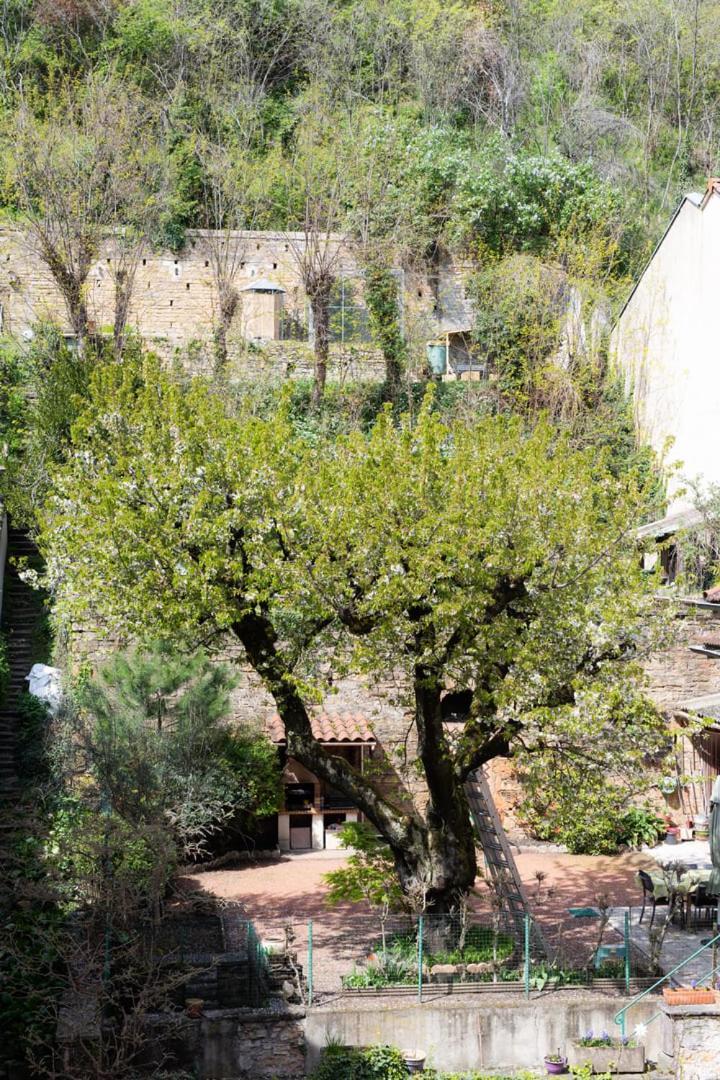 Appartamento Le Ferratière - Moderne industriel du Vieux Lione Esterno foto